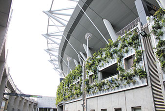 Tree-type wall greening